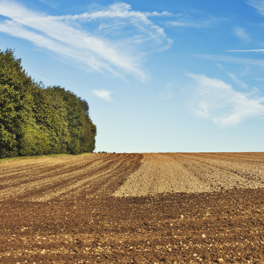 Agro-Process-Plant